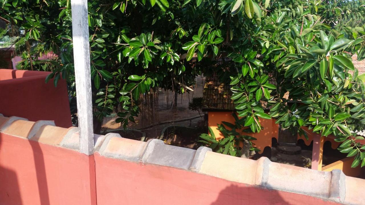 Big Milly'S Backyard Hotel Kokrobite ภายนอก รูปภาพ