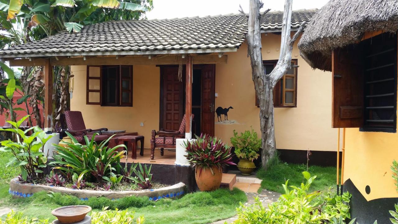 Big Milly'S Backyard Hotel Kokrobite ภายนอก รูปภาพ